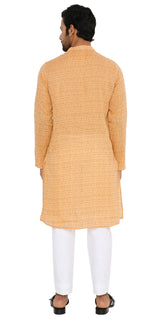Back view of Be Desi Men's khadi kurta